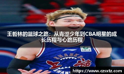 王哲林的篮球之路：从青涩少年到CBA明星的成长历程与心路历程